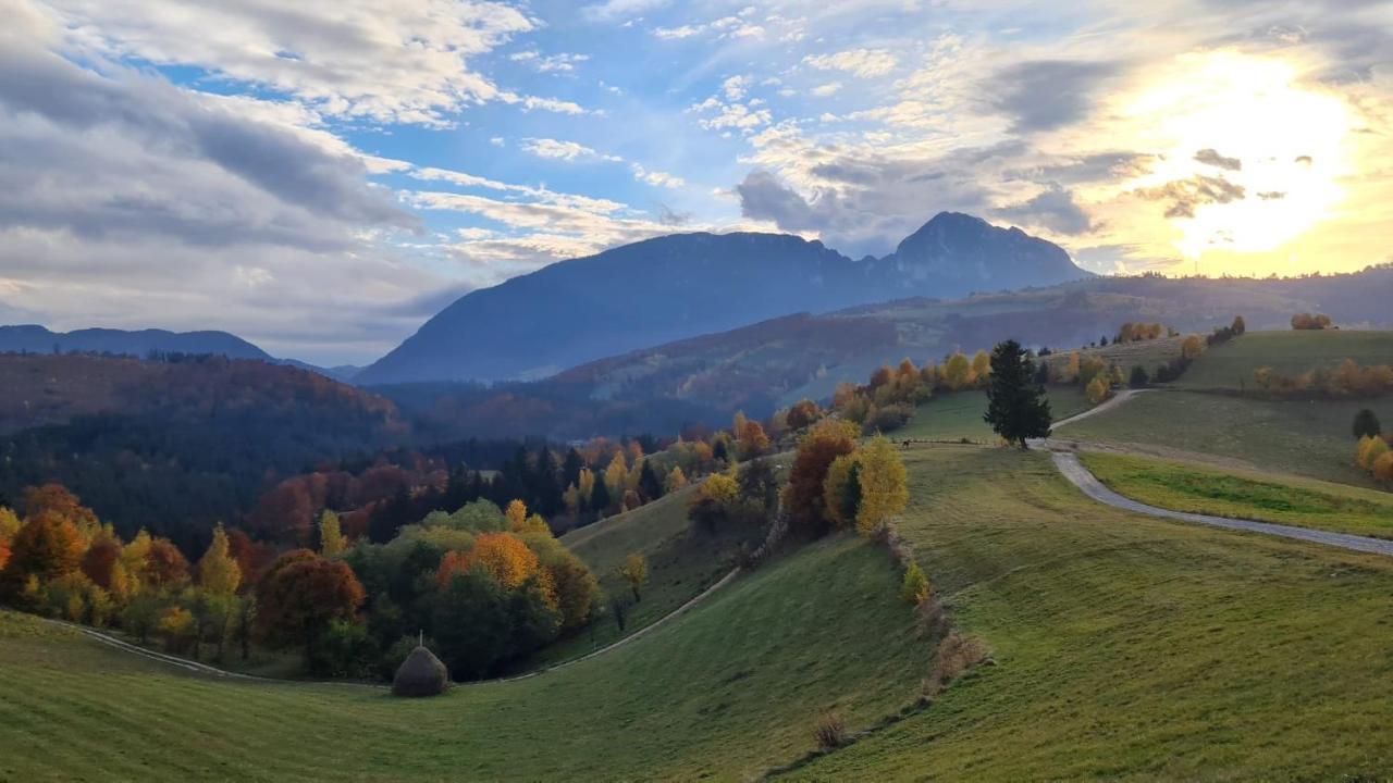 My Little Village Poiana Mărului Exteriör bild