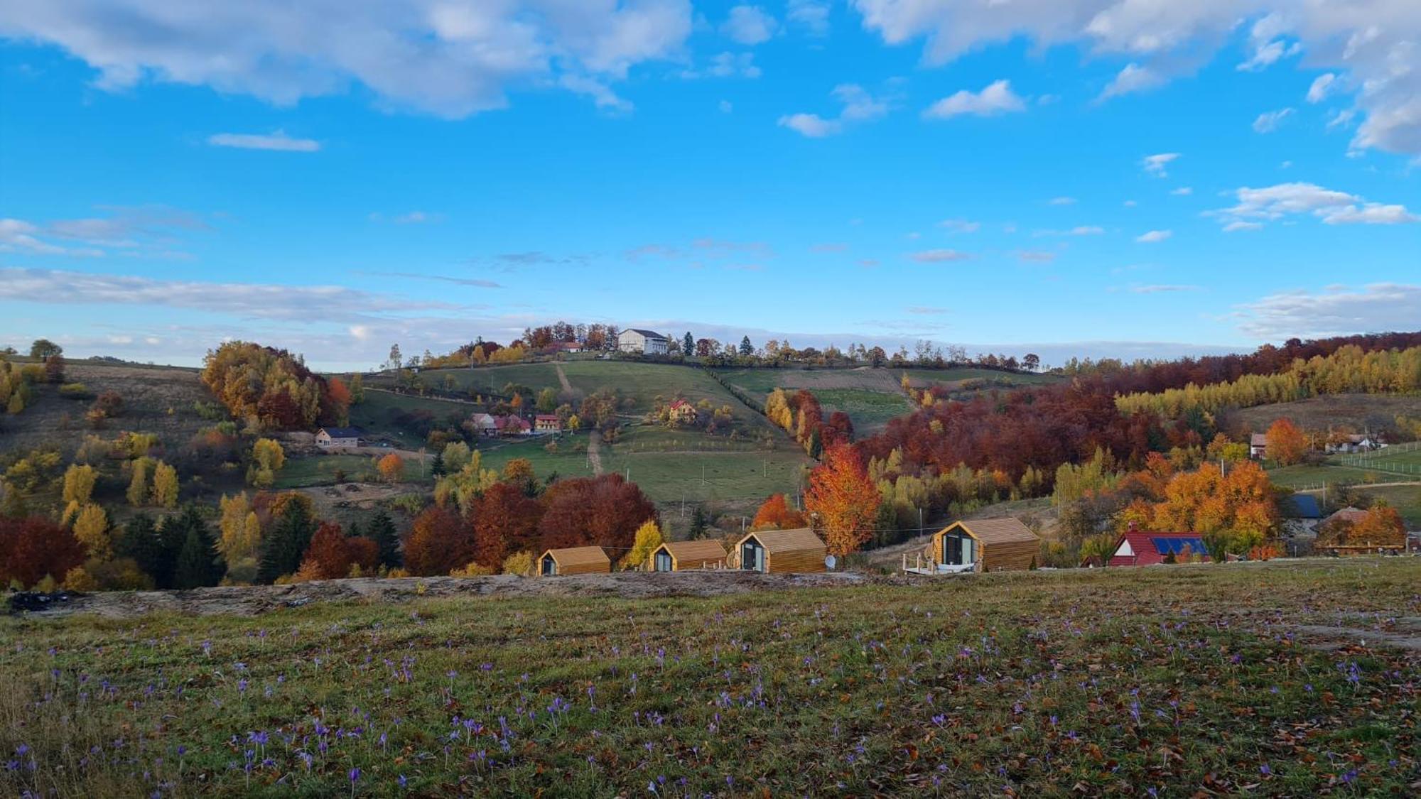 My Little Village Poiana Mărului Exteriör bild