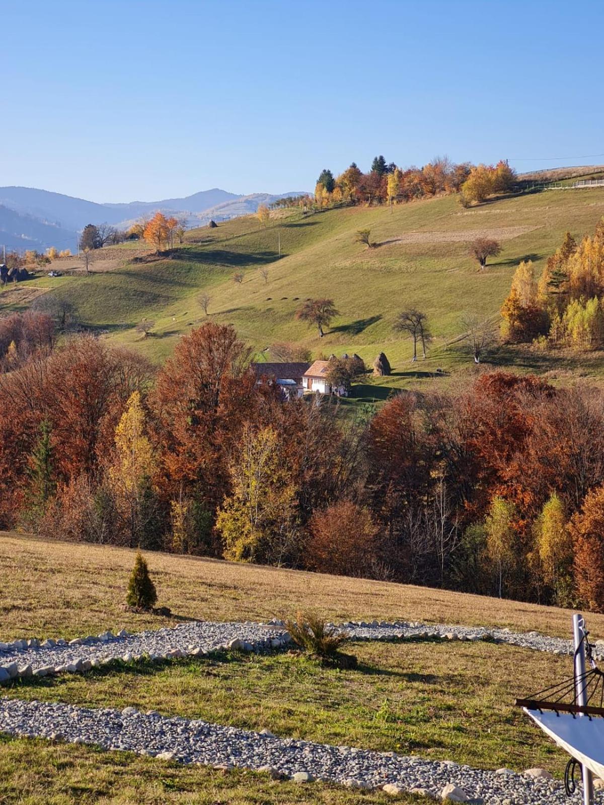 My Little Village Poiana Mărului Exteriör bild