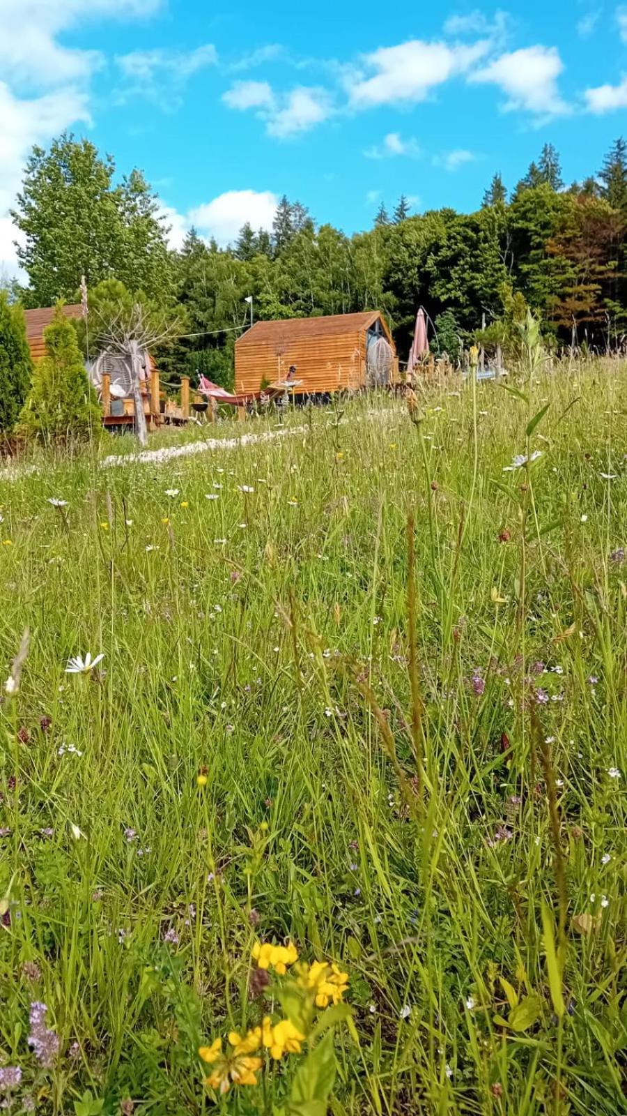 My Little Village Poiana Mărului Exteriör bild